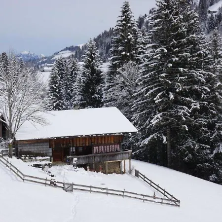 Isehuet Daire *